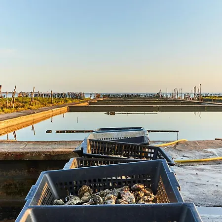 Ferienhaus - Maison De 8 Pers - 4 - Animaux Admis - Parking - Fr-1-540-175