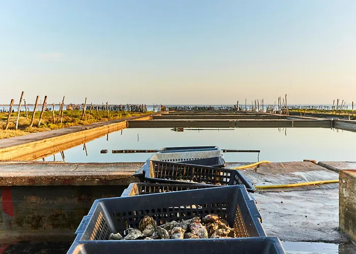 Hébergement de vacances - Maison De 8 Pers - 4 - Animaux Admis - Parking - Fr-1-540-175